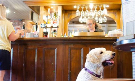Dog friendly pubs north hykeham North Hykeham Cheap Pet Friendly Hotels: Find 1055 traveller reviews, candid photos and the top ranked cheap pet friendly hotels in North Hykeham on Tripadvisor